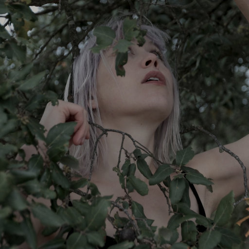 第一精品福利导福航
